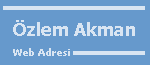 Web Sitem